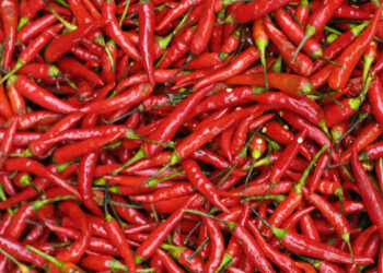 अवकाळीचा मसाला बाजाराला फटका