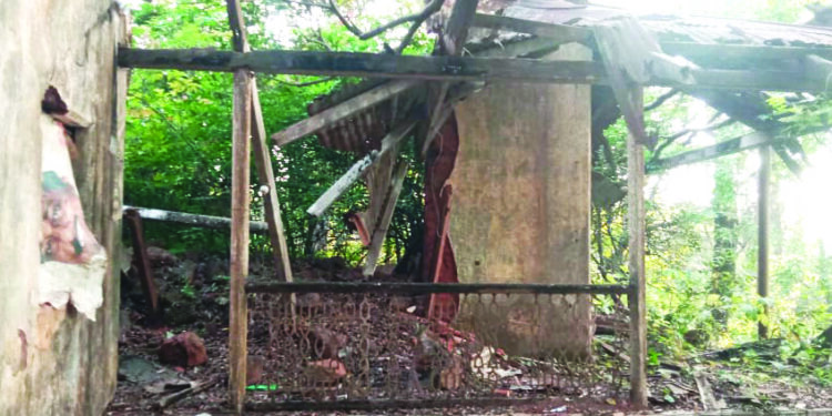 माथेरानच्या माळी कामगारांचे जीवन अंधकारमय