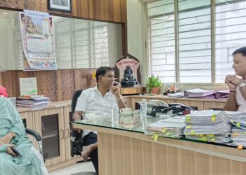 मतदार याद्या अद्ययावत करा-पंडित पाटील