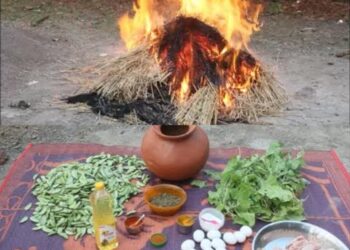 लज्जतदार पोपटी पार्ट्यांच्या आयोजनाचे बेत
