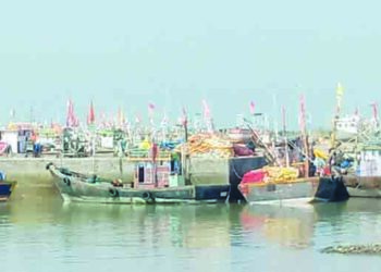 रायगडातील मच्छीमार समस्यांच्या जाळ्यात