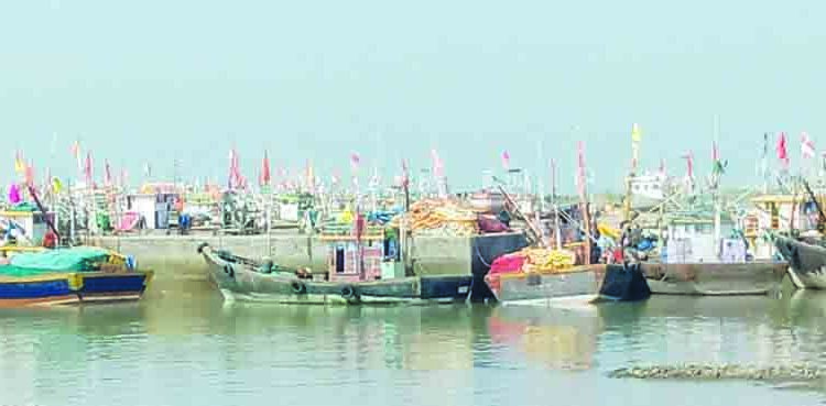 रायगडातील मच्छीमार समस्यांच्या जाळ्यात