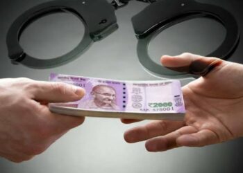 नोकरीच्या बहाण्याने लाखोंची फसवणूक