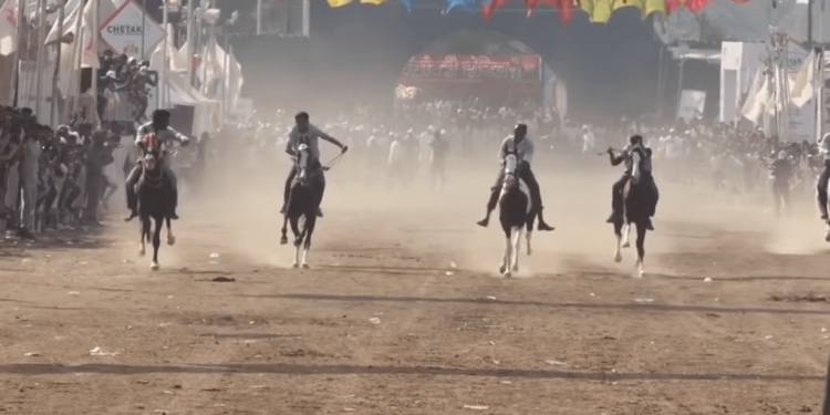 अश्वारोहणात थैलची तीन सुवर्णपदकांची कमाई