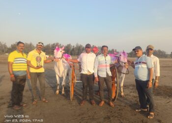 आक्षी समुद्रकिनारी बैलगाडी शर्यतीचा थरार