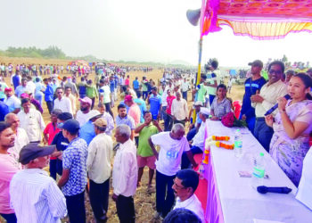 सर्जा-राजा उतरले मैदानात