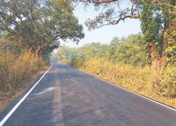 नेरळ कळंब राज्यमार्ग रस्त्यावर पुन्हा डांबरीकरण