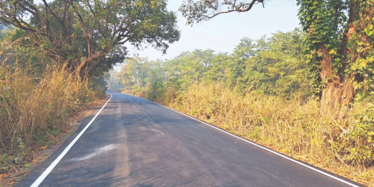 नेरळ कळंब राज्यमार्ग रस्त्यावर पुन्हा डांबरीकरण