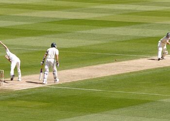 न्यूलँड्सच्या खेळपट्टीवर पाच दिवसांनी कारवाई ; खेळपट्टी असमाधानकारक