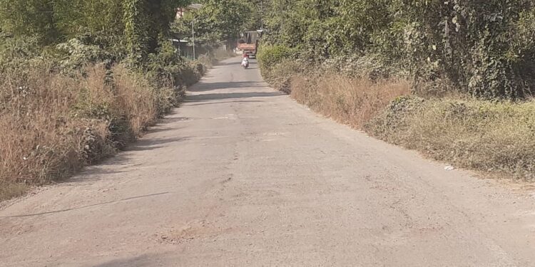 कामार्ले ते कार्लेखिंड रस्ता दुरुस्तीची मागणी
