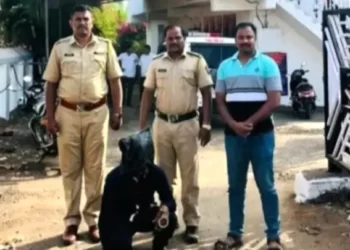 बोरीचामाळ घरफोडीतील चोरट्याला अटक