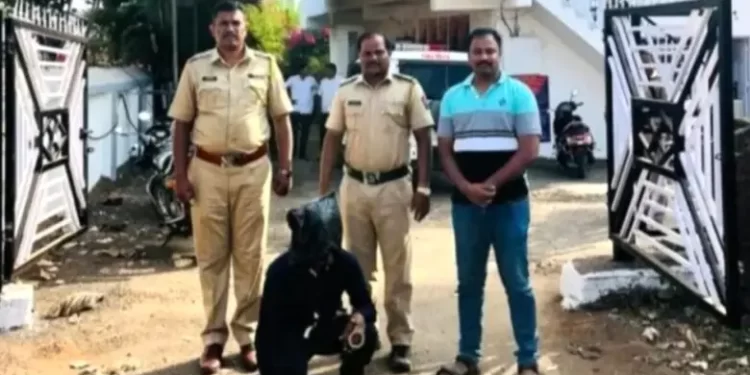 बोरीचामाळ घरफोडीतील चोरट्याला अटक