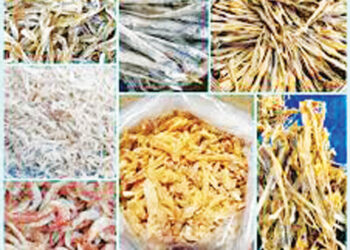 सुक्या मासळीला मोठी मागणी