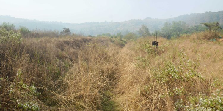 शेतकऱ्यांचे लक्ष कालव्याच्या पाण्याकडे