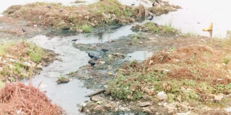 कुंडलिका नदी सांडपाण्यामुळे झाली प्रदूषित
