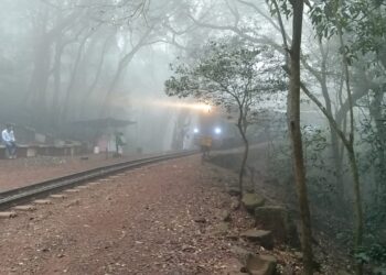 यंदाच्या हिवाळ्यात माथेरान गारठले