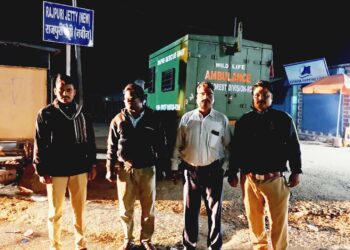 बिबट्याच्या शोध मोहीमेसाठी वनखाते सरसावले