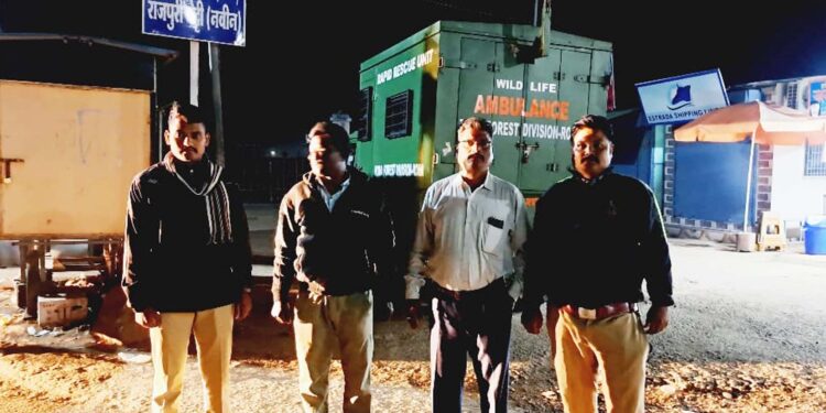 बिबट्याच्या शोध मोहीमेसाठी वनखाते सरसावले