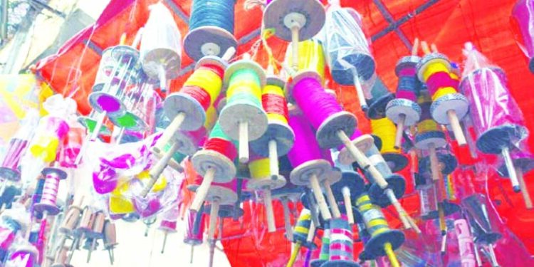 पक्ष्यांवर पतंगाच्या धाग्यांची संक्रांत