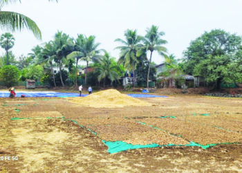 रायगडात ‌‘अवकाळी’ने धास्ती