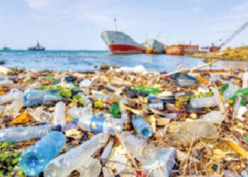 प्लास्टिक प्रदुषणाचा खाड्यांना विळखा