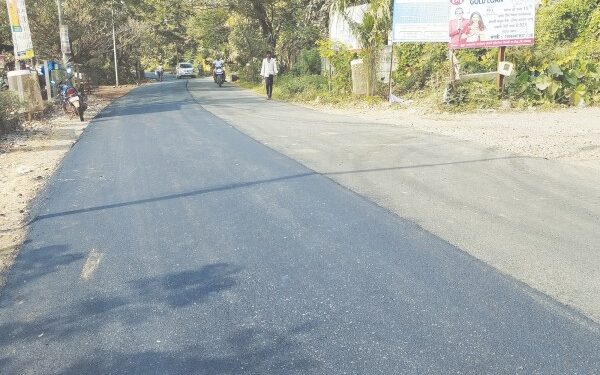 नागोठण्यात गतिरोधकांची मागणी