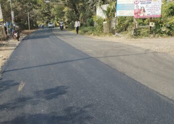 नागोठण्यात गतिरोधकांची मागणी