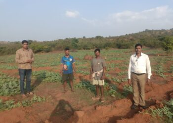 तरुणांनी फुलवले माळरानावर नंदनवन