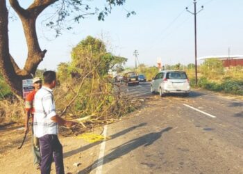 झाडांवर लटकलेल्या फांद्या छाटल्या