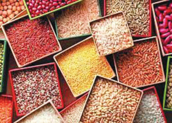 पौष्टिक तृणधान्यांची निर्यात वाढली