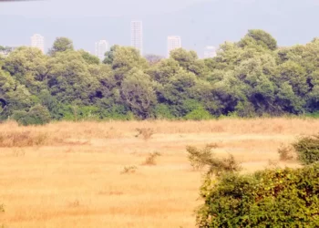 जासईतील शेतकऱ्यांना दिलासा