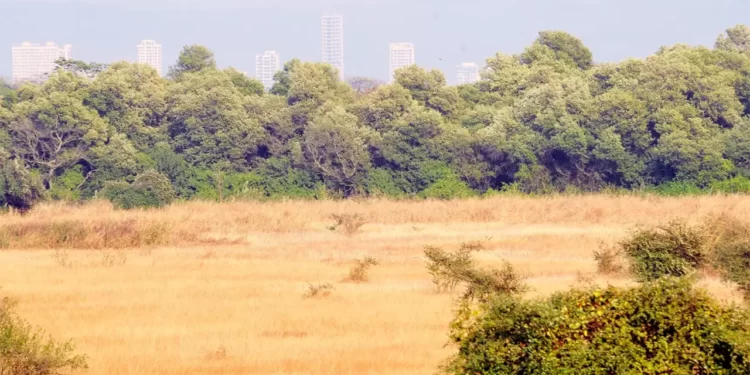 जासईतील शेतकऱ्यांना दिलासा