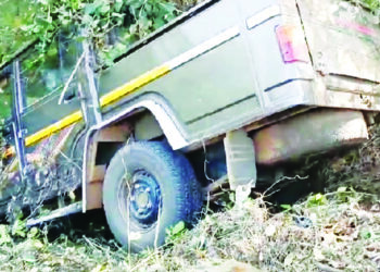 चारचाकीवर वानरांचा हल्ला ;अपघातात दोघे बचावले