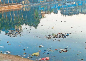 तलावातील दुर्गंधीमुळे उरणकर त्रस्त