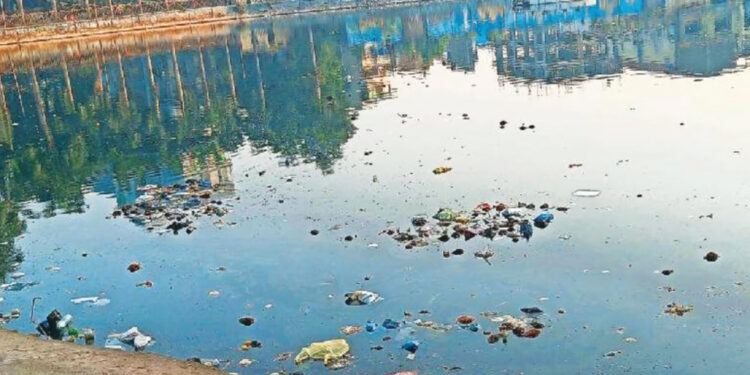 तलावातील दुर्गंधीमुळे उरणकर त्रस्त