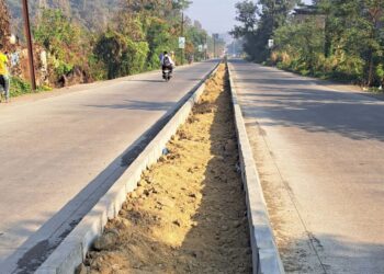 वृक्षारोपणाचा पालिकेला विसर