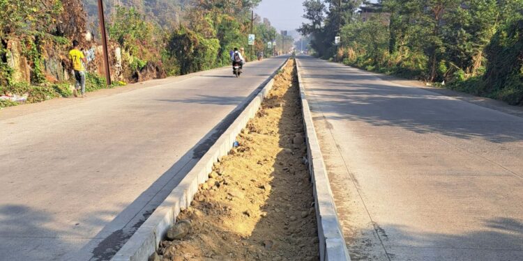 वृक्षारोपणाचा पालिकेला विसर