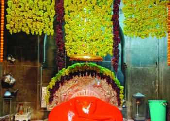 गणरायाला द्राक्षांची आरास