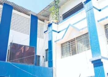 जिल्हाधिकारी कार्यालयाला झुडपांचा विळखा