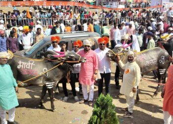 नारंगी-स्वाली येथे रंगली बैलगाडा शर्यत