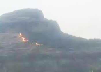 सरसगड किल्ल्याला वणवा