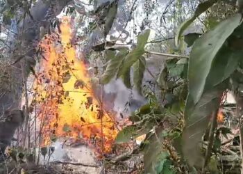 उरणमध्ये लाकडी गोदामाला आग