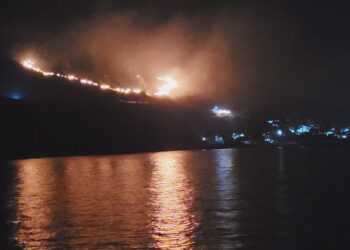 राजपुरी डोंगराला वणवा