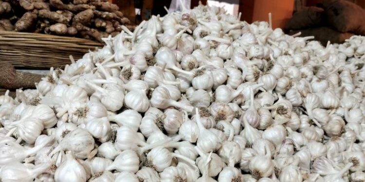 आवक कमी झाल्याने लसणाच्या दरात तेजी