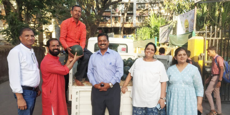 रोह्याची कलिंगडे सातासमुद्रापार