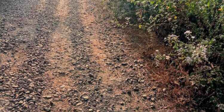 मजगांव-वेळास्ते रस्त्या दुरावस्थेत