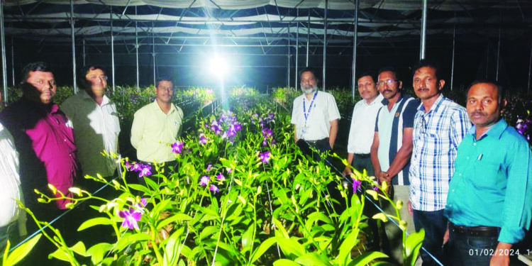 कर्जतच्या शेतकऱ्यांनी केला कृषीक्षेत्रात बदल