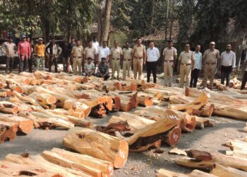 खैराच्या लाकडांसह दोघे ताब्यात