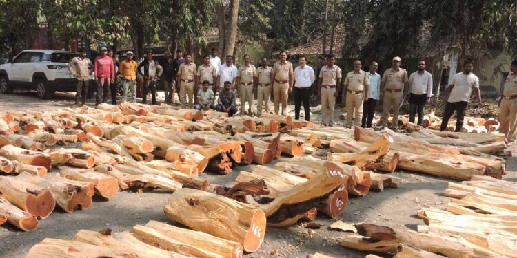 खैराच्या लाकडांसह दोघे ताब्यात