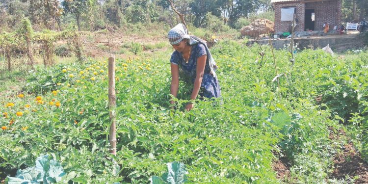 परसबाग फुलवण्यावर महिलांचा भर